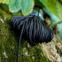 Паракорд Atwood Rope MFG® Tactical 275 Cord (100ft)