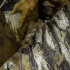 Дощовик пончо Camotec™ Pilgrim Rip-Stop