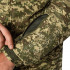  Колір: Хижак