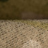  Колір: Multicam