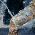  Колір: Multicam