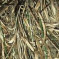 Колір: Cane 5