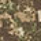 Колір: PenCott® BadLands™