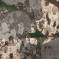 Колір: WASP I Z1B
