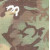 Arid MC Camo