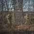 Колір: Multicam Колір: Multicam