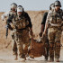  Колір: Multicam