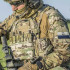  Колір: Multicam