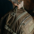 Рюкзак Direct Action® Dragon Egg MK II Backpack 25 L Рюкзак Direct Action® Dragon Egg MK II Backpack 25 L