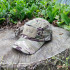 Колір: Multicam Колір: Multicam