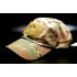 Бейсболка Helikon-Tex® Baseball Cap - PolyCotton Ripstop