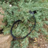Ремінь Helikon-Tex® Ukraine Belt