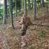 Колір: Coyote Колір: Coyote