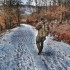 Колір: Multicam Колір: Multicam