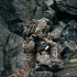  Колір: Multicam
