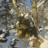 Колір: Olive Green Колір: Olive Green