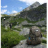 Рюкзак Helikon-Tex® Raider® Backpack - Cordura® 20 L