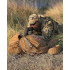 Рюкзак Helikon-Tex® Raider® Backpack - Cordura® 20 L