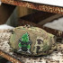  Колір: Multicam