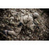 Колір: PenCott® BadLands™ Колір: PenCott® BadLands™