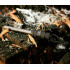 Кресало Helikon-Tex® Firespark Fire Starter