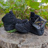 Черевики жіночі LOWA® Zephyr GTX® MID TF Ws