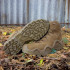 Колір: Coyote OP Колір: Coyote OP