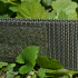 Колір: Olive Колір: Olive