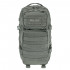 Колір: Foliage Green Колір: Foliage Green