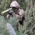 Колір: MTP/MCU camo Колір: MTP/MCU camo