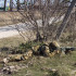 Колір: Varan camo Pat.31143/31140 Колір: Varan camo Pat.31143/31140