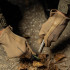 Рукавиці вогнетривкі Pentagon® Pilot Nomex® Gloves - Short
